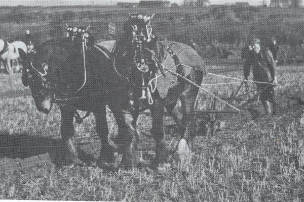 RDPMHC0034 ED013.jpg