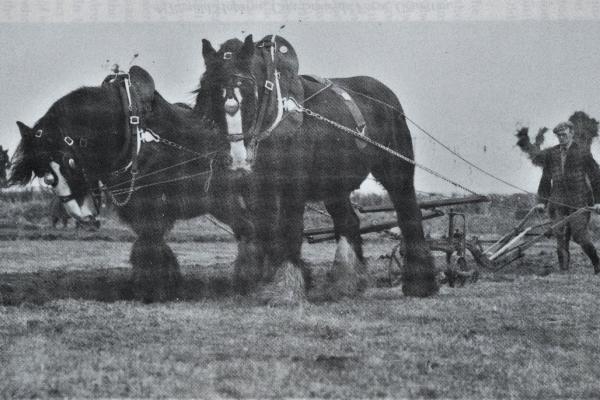 RDPMHC0036 ED015.jpg