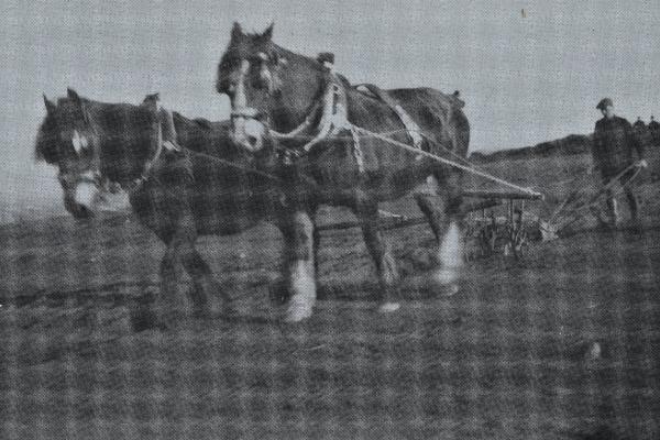RDPMHC0037 ED016.jpg