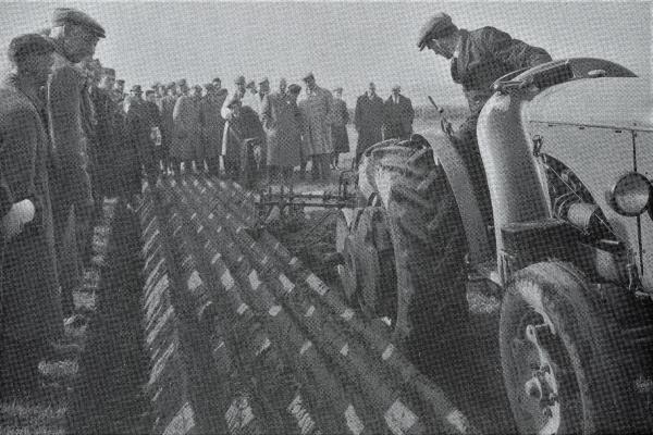 RDPMHC0039 ED018.jpg