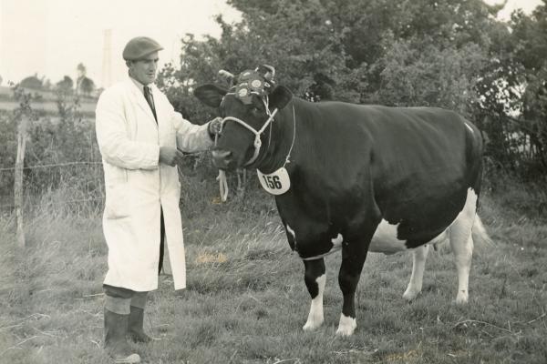 RDPMHC0093CHT001.jpg