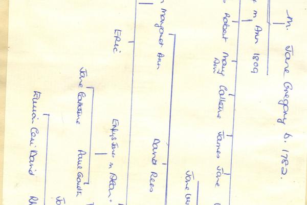 chs09266 x044 Brown family tree.jpg