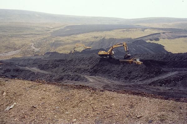 BG1_000052.jpg