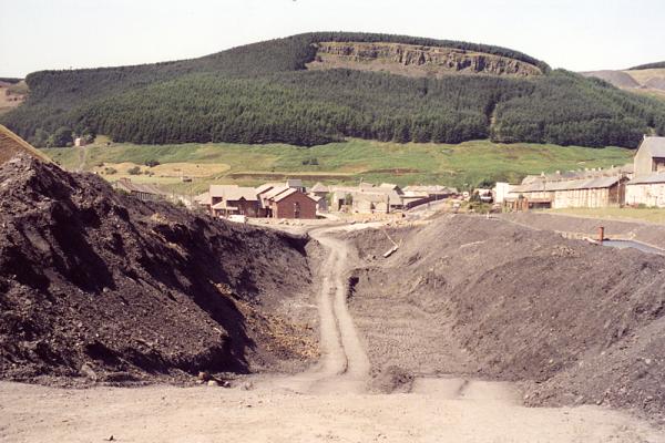 BG1_000072.jpg
