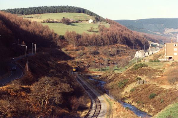 BG1_000079.jpg