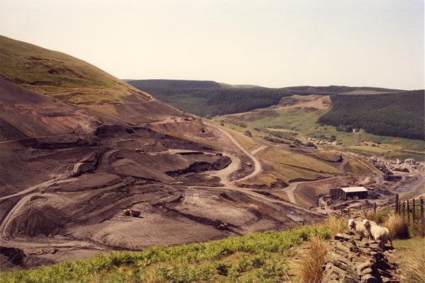 BG1_000087.jpg