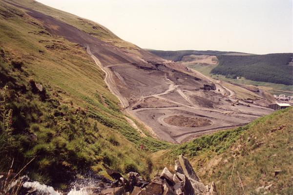 BG1_000093.jpg