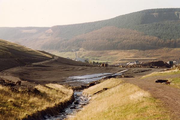 BG1_000095.jpg