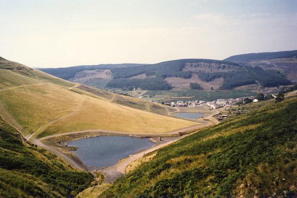 BG1_000096.jpg