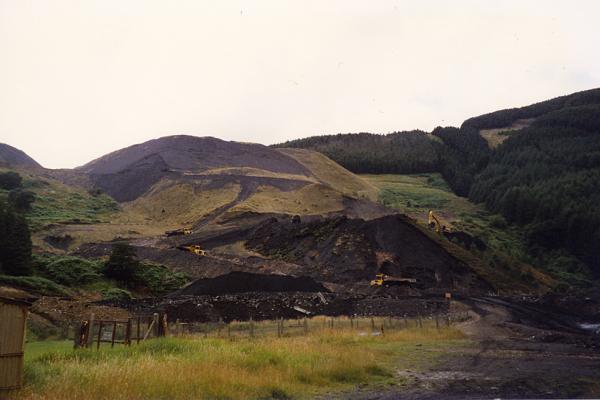 BG1_000110.jpg
