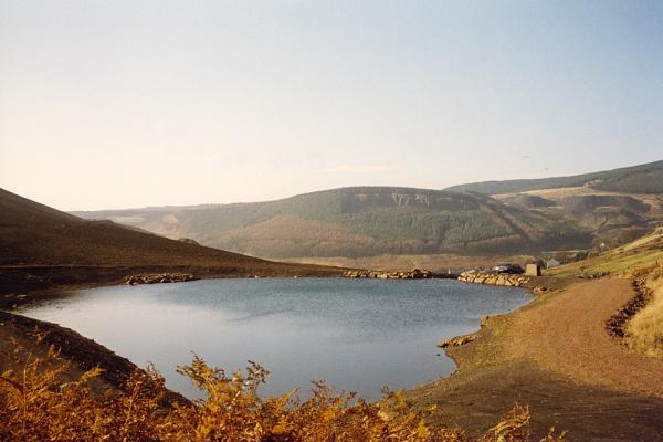 BG1_000128.jpg