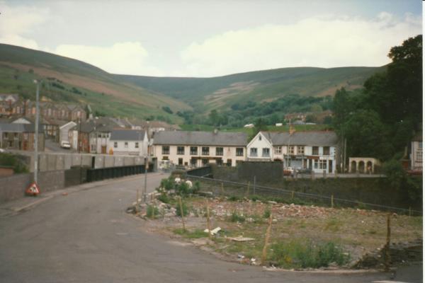 BG1_000139.jpg