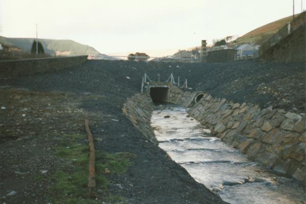 BG1_000142.jpg