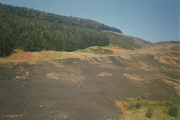 BG1_000149.jpg