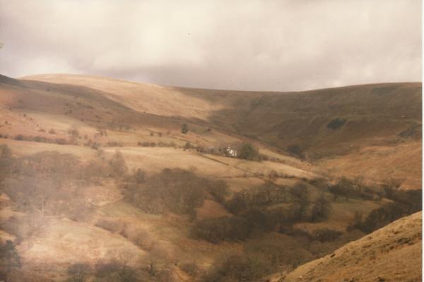 BG1_000152.jpg