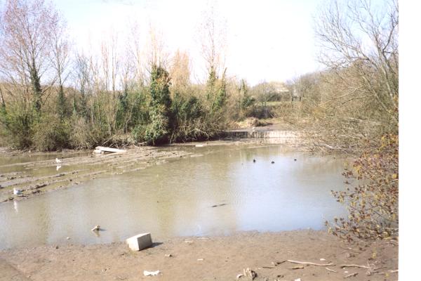 BG1_000155.jpg