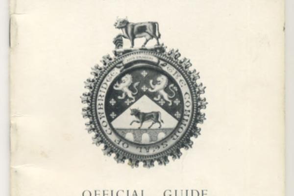 1166981.jpg