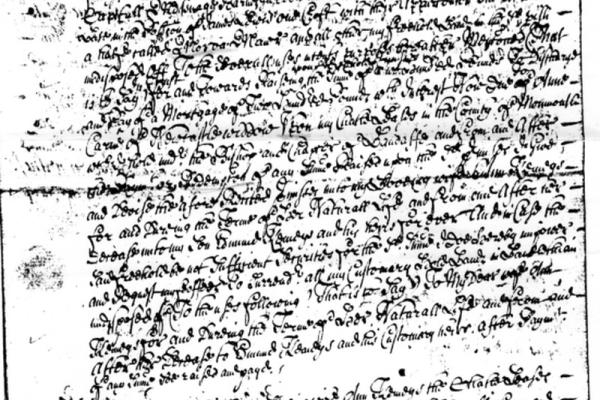 1176286.jpg