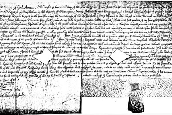 1178841.jpg