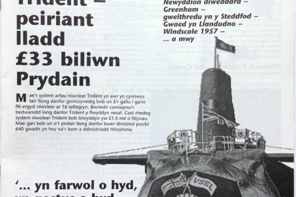 1454446.jpg