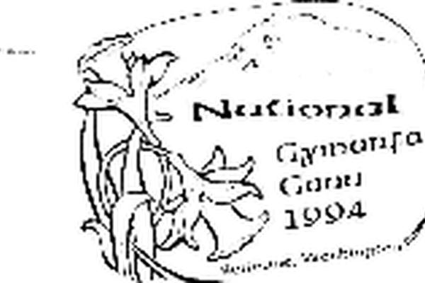 2151141.jpg