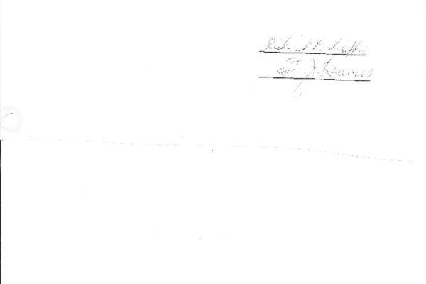 2203296.jpg