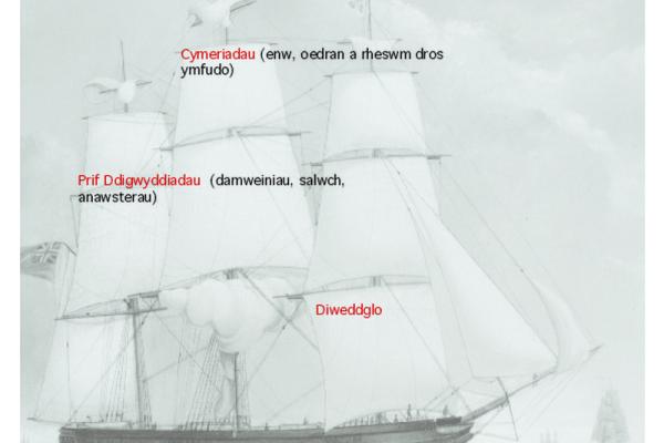 381082.jpg