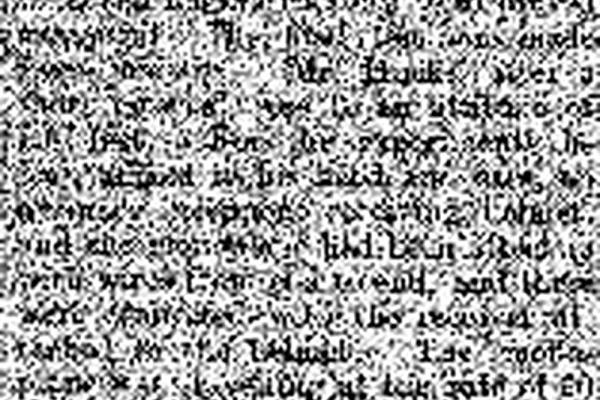 382864.jpg