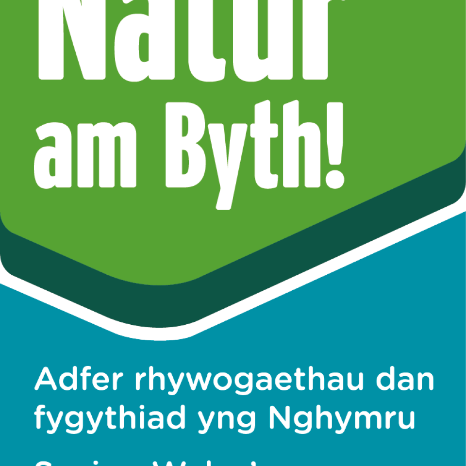 Profile picture for user naturambyth_117506
