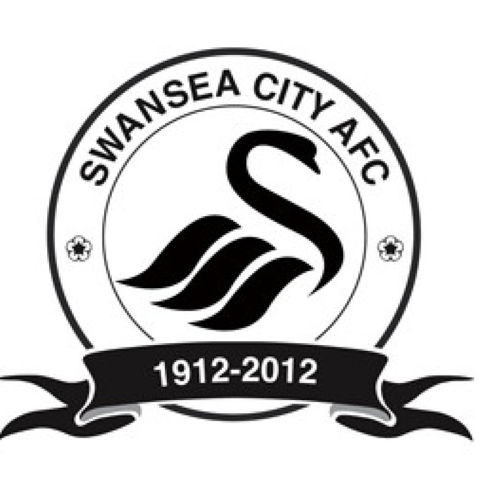 Profile picture for user swans100_10210