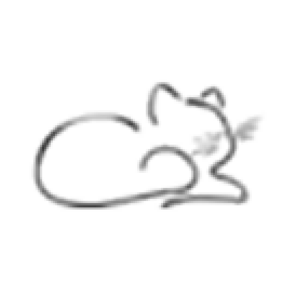 Profile picture for user doliglwt_gmail_com