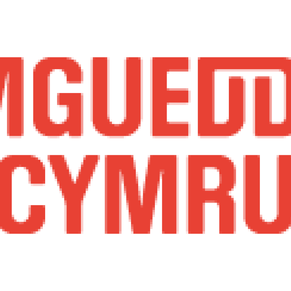Profile picture for user post_museumwales_ac_uk