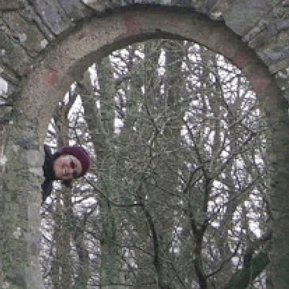 Profile picture for user cwmtywyll_gmail_com