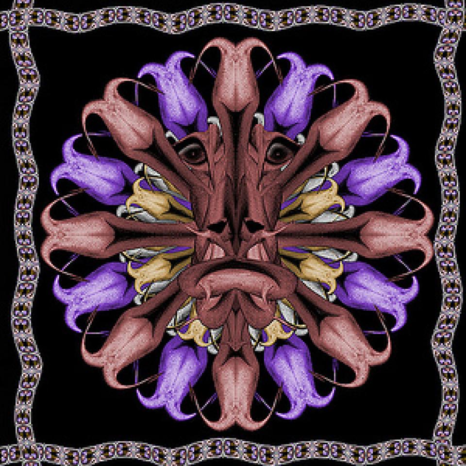 Profile picture for user sendevansmail