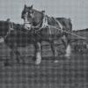 RDPMHC0037 ED016.jpg