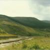 BG1_000006.jpg