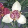 Profile picture for user bill_phillips