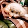 Profile picture for user phil_davies3_20580