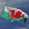 Profile picture for user gareth_evans24_28391