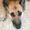 Profile picture for user joanne_kane_pays