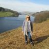 Profile picture for user elaine_dacey_58206