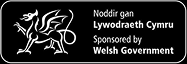 Welsh Government Logo